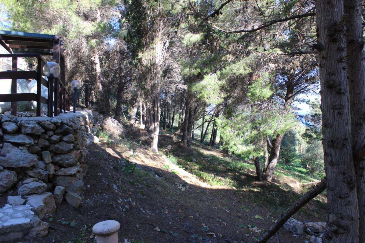 La Pineta Villa Favignana Eksteriør billede